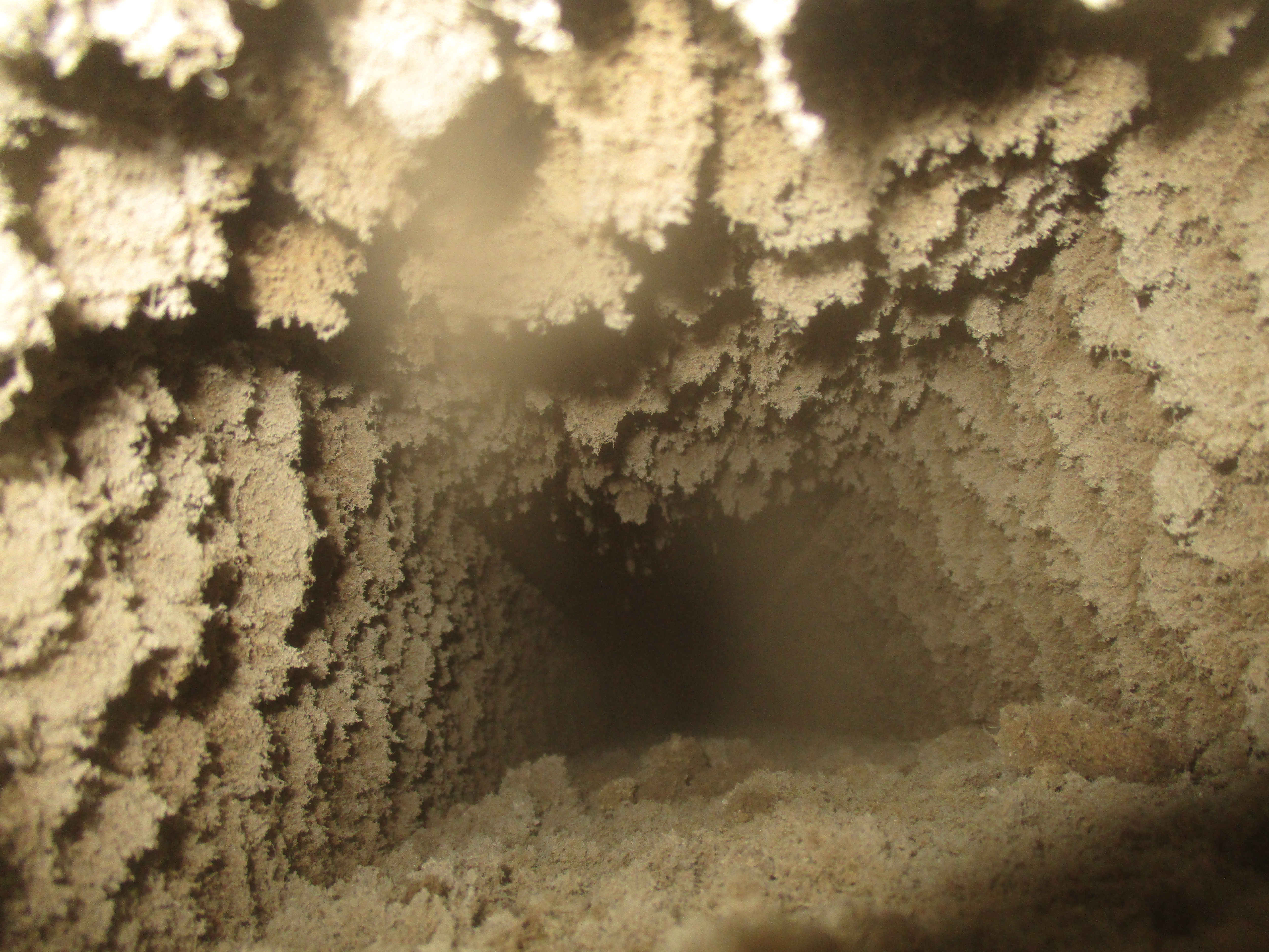 Meier-Kopp Service AG, Lüftungsrohr vor Reinigung